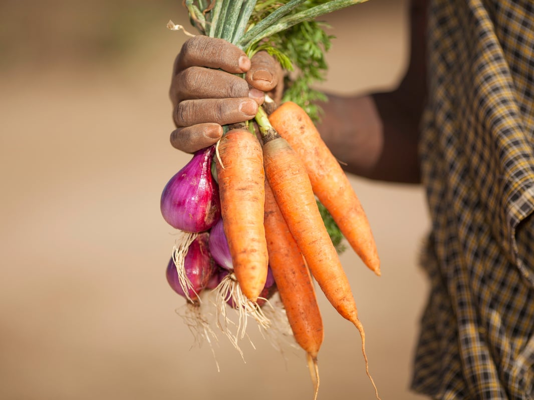 African Farmer Holding Vegetables